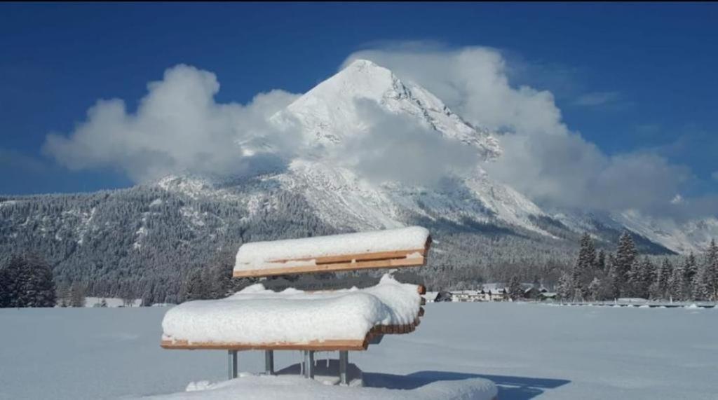 Alpenchalet Im Leutaschtal מראה חיצוני תמונה