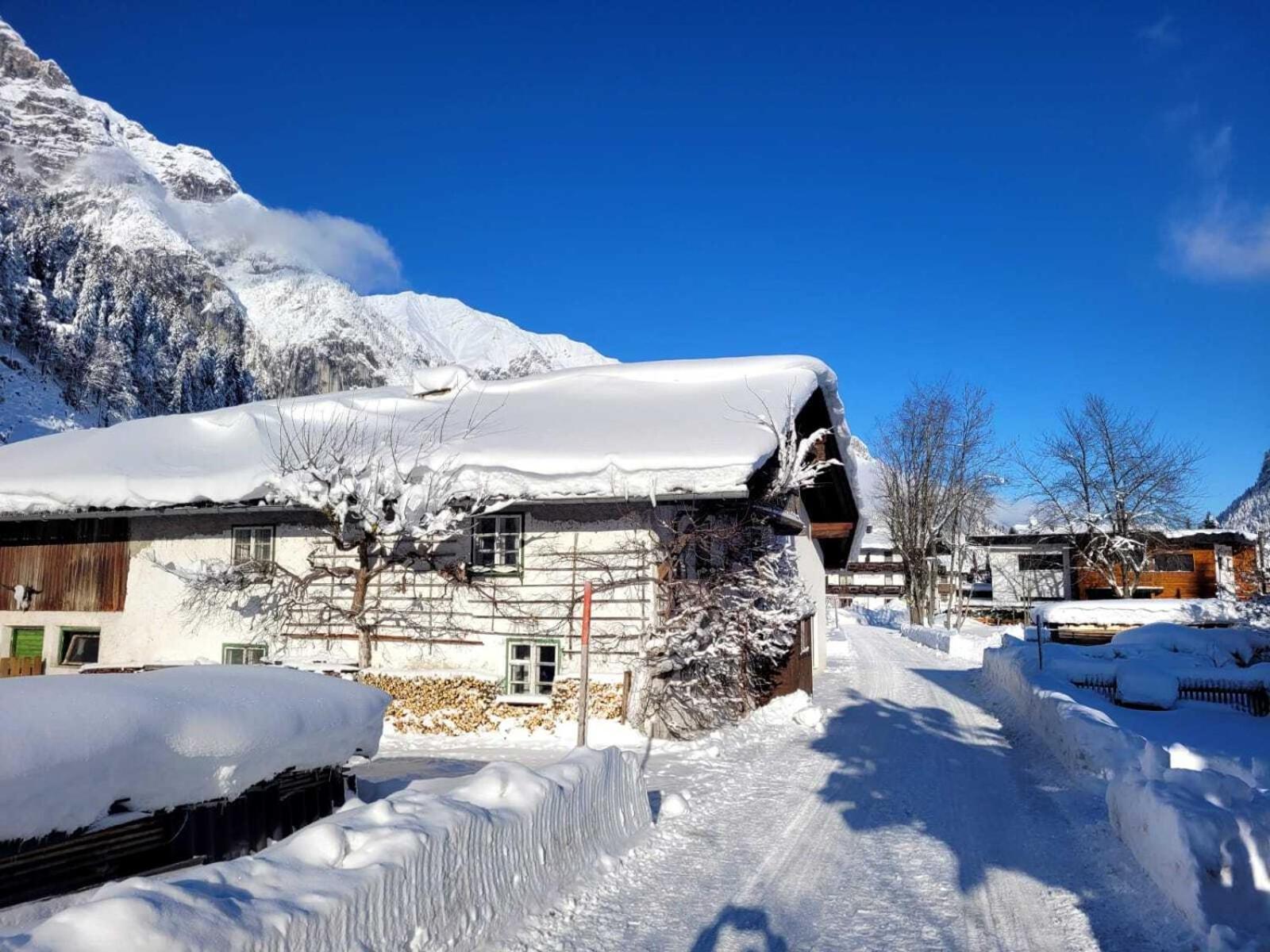 Alpenchalet Im Leutaschtal מראה חיצוני תמונה